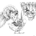 Don Art_screenview_1500dpi (79)_sm